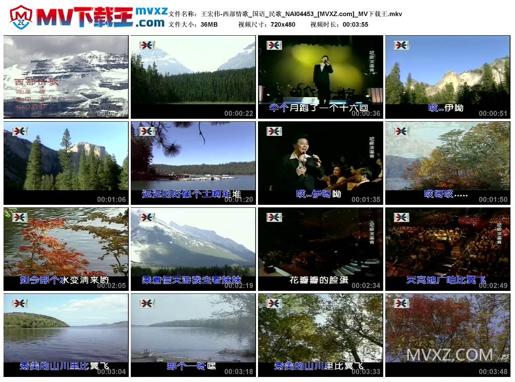 王宏伟-西部情歌_国语_民歌_NAI04453